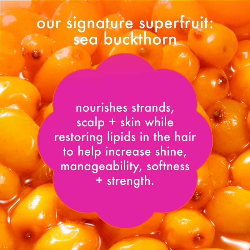 text reads: "our signature superfruit sea buckthorn. nourishes strands, scalp + skin while restoring lipids in the hair to help increase shine, manageability, softness and strength." 