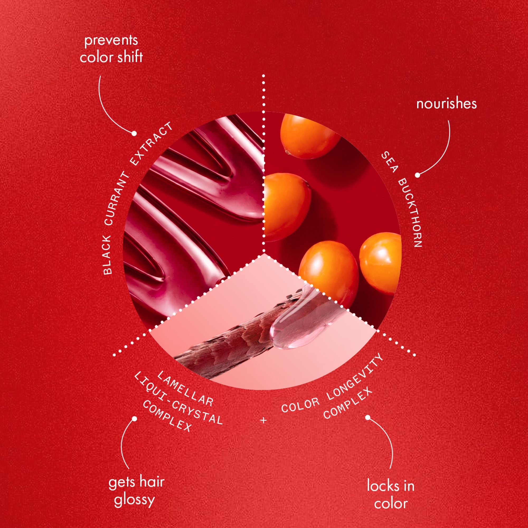 Ingredient + Technology Education