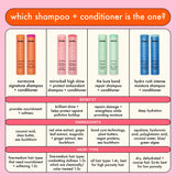 mirrorball | high shine + protect antioxidant shampoo